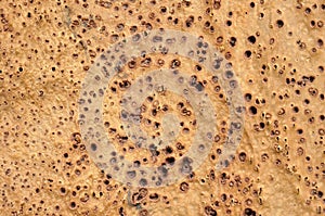 Natural wooden, corc crust a texture - closeup, beige background.