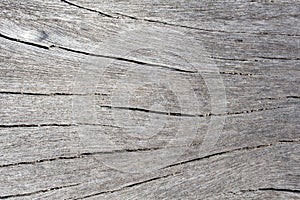 Natural wooden curves and lines on rustic timber