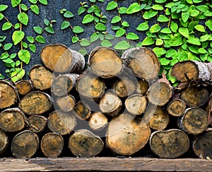 Natural wooden logs stacked.