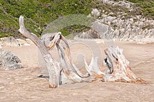 Natural wooden sculpture