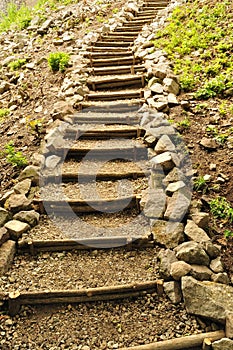 Natural wooden stairs