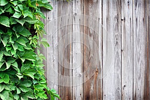 Natural wooden texture