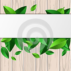 Natural wooden texture, green leaves and white background with p