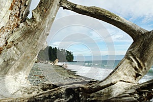 A natural wooden window with beach view