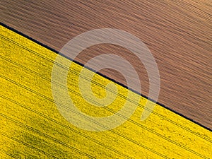 Natural yellow and brown flat background. Drone perspective