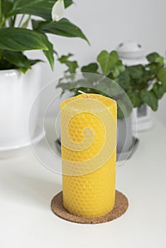 Natural yellow eco soy wax candle near green plants. Idea for creating a cozy home, decor corner. Trendy diy honeycomb candles