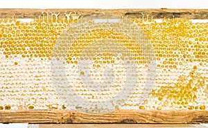 Natural yellow honey comb texture in wooden frame