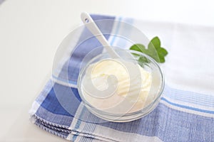 Natural yogurt or yoghurt with cream and mint