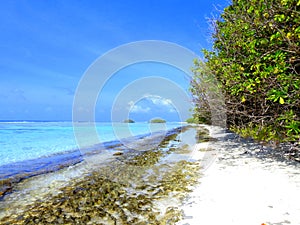 Naturaleza salvaje playa Isla de Dhigurah. Maldivas.