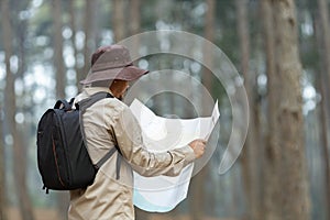 Naturalist looking at the map for direction while exploring wildlife in the pine forest for surveying and discovering the rare