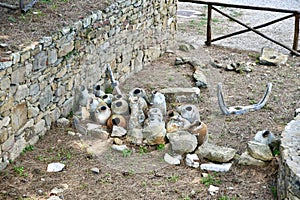 Naturalistic itinerary of the Archaeological Museum of Baratti and Populonia