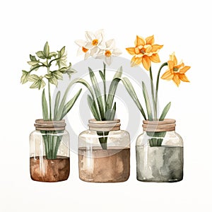 Naturalistic Watercolor Flower Jars With Daffodils