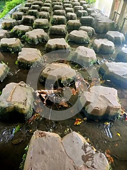 naturally arranged stones form footholds in a calm stream