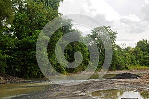 Naturally Grown Plants in Bulatukan river, New Clarin, Bansalan, Davao del Sur, Philippines. photo