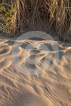 Naturally occuring patterns in sand