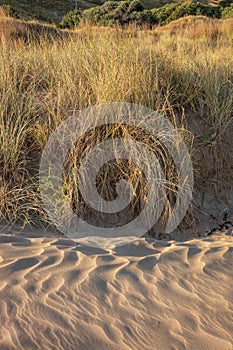 Naturally occuring patterns in sand