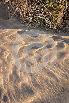 Naturally occuring patterns in sand