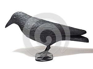 Naturally size black plastic crow. Effective bird deterrent