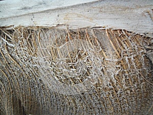 Naturally Wooden Surface