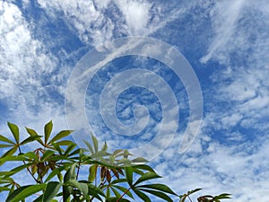 Naturals blue sky photo