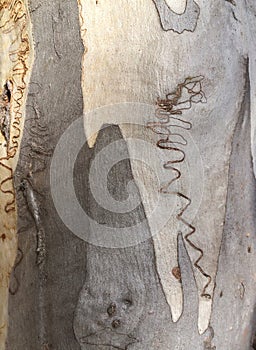 Nature abhors a vacuum