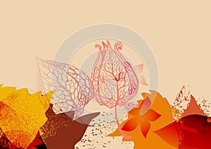 Nature abstract background, physalis and fall leaves design