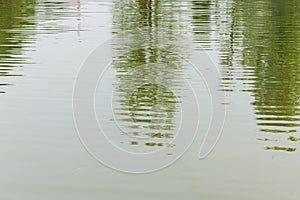 Nature abstract background, reflection of trees on the lake