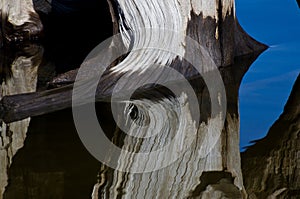 Nature Abstract - Driftwood Reflecting in the Water