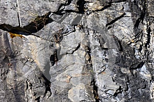 Nature Abstract: Pattern Created by Cracks and Crevices in a Solid Rock Wall
