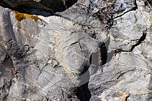 Nature Abstract: Pattern Created by Cracks and Crevices in a Solid Rock Wall