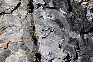 Nature Abstract: Pattern Created by Cracks and Crevices in a Solid Rock Wall