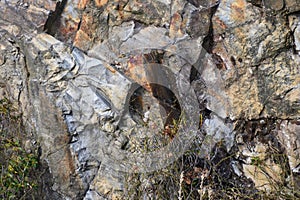 Nature Abstract: Pattern Created by Cracks and Crevices in a Solid Rock Wall