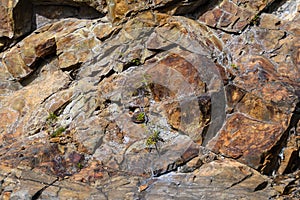 Nature Abstract: Pattern Created by Cracks and Crevices in a Solid Rock Wall
