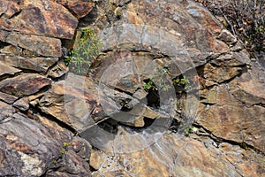 Nature Abstract: Pattern Created by Cracks and Crevices in a Solid Rock Wall