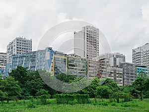 Nature against industrial building