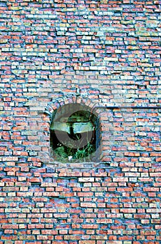 Nature againts architecture. Small green plants growing inside the arch on the wall.