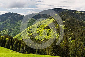 Nature along the cycling way from Malino Brdo to Revuce in Slovakia