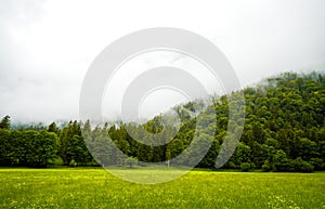 Nature in the Alpbachtal. Landscape with field and forest in Tyrol on a cloudy day photo