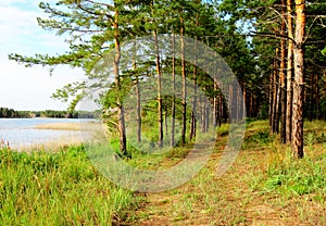 Nature Altaya photo
