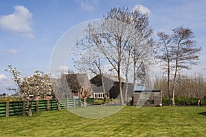 Nature area De Wilck