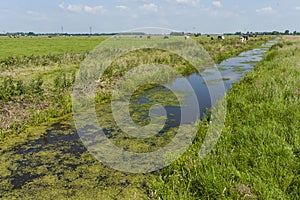 Nature area De Wilck