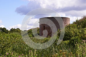 Nature Around Hald Castle near Hald Lake in Denmark