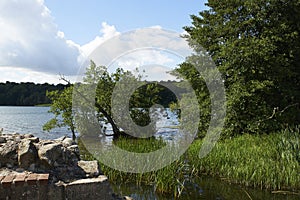 Nature Around Hald Castle near Hald Lake in Denmark