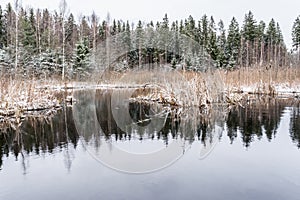 The nature around the lake after the first snowfall