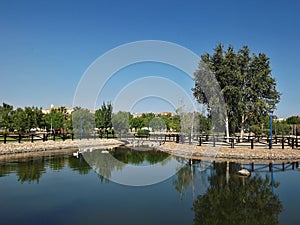 Fishing pond in La Coronada, Extremadura - Spain photo