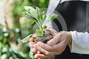 Nature as bio medicine, Earth day in your hand