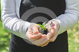 Nature as bio medicine, Earth day in your hand