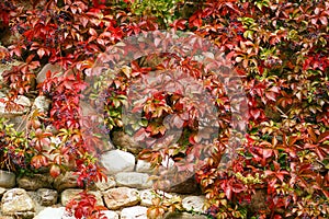 Nature in autumn at Meteora is a tourist attraction in more for its beauty and its charming colors