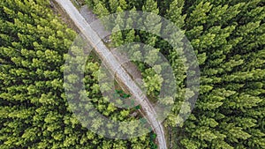 nature background with aerial view above green tree