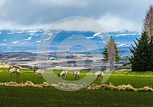 Nature background beautiful landscape mountains road hills clouds Iceland